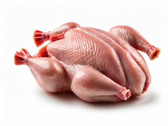 Raw chicken meat isolated on transparent or white background
