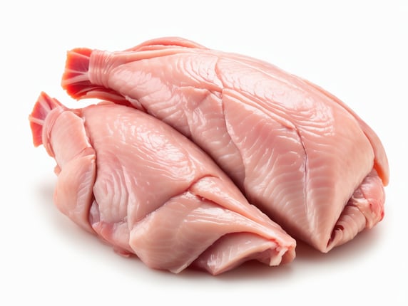 Raw chicken meat isolated on transparent or white background