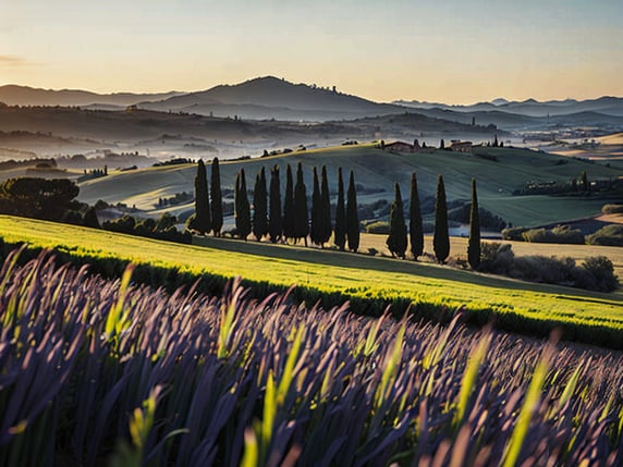 Generate a captivating image that showcases a tranquil Tuscan field at dawn. The field should be sprawling and filled with tall golden wheat, gently swaying with the breeze. A few scattered, ancient olive trees, their gnarled branches reaching up to the sky, dot the landscape. The sky above should be a magnificent mixture of warm oranges, pinks, and purples of the morning light, with the rising sun just peeping over the horizon. Nestled in the distant rolling hills, you can make out the silhouette of a charming Tuscan farmhouse, its red-tiled roof glowing in the dawn's first light. The overall atmosphere of the image should evoke a sense of peace and serenity, embodying the idyllic beauty of the Tuscan countryside.